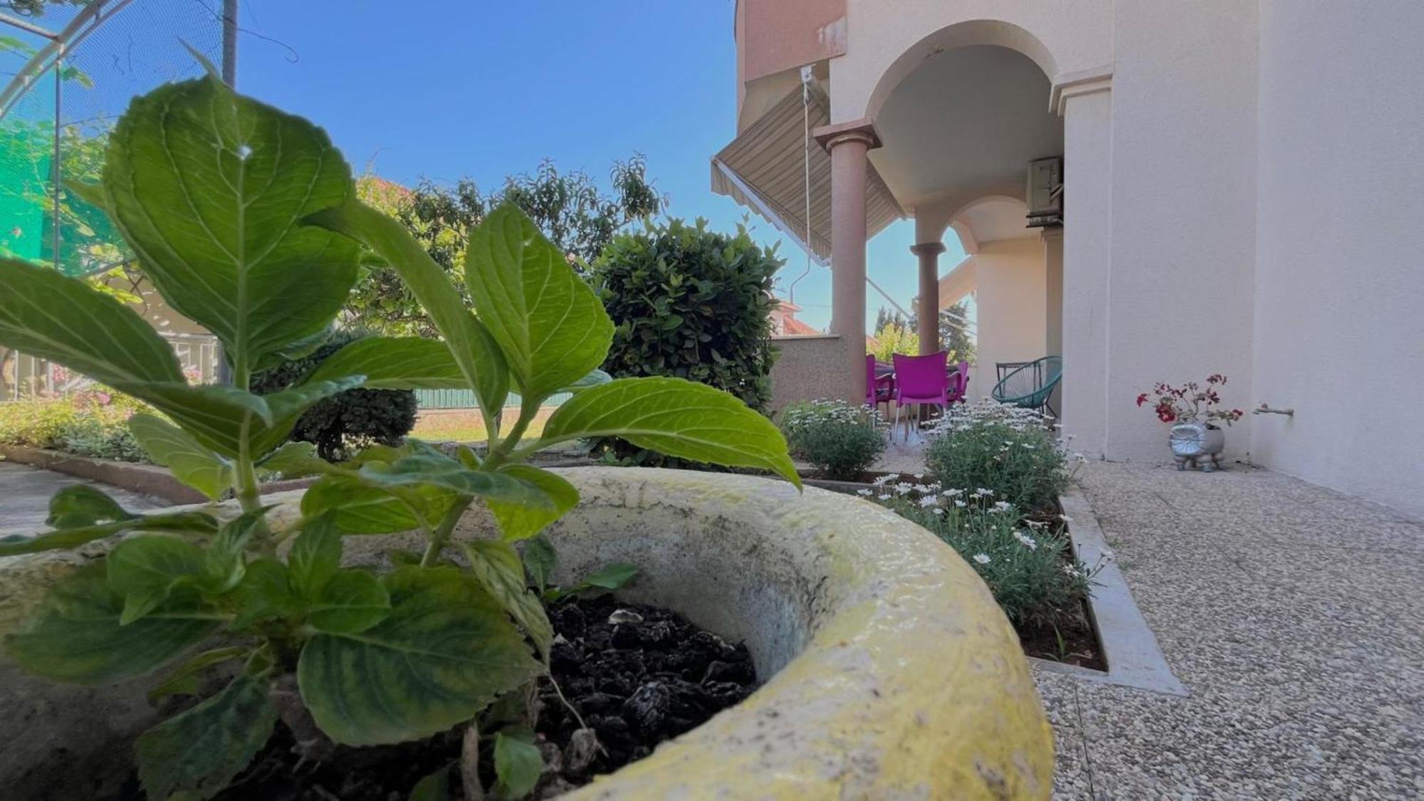 Apartments Villa Rotim Ζαντάρ Εξωτερικό φωτογραφία