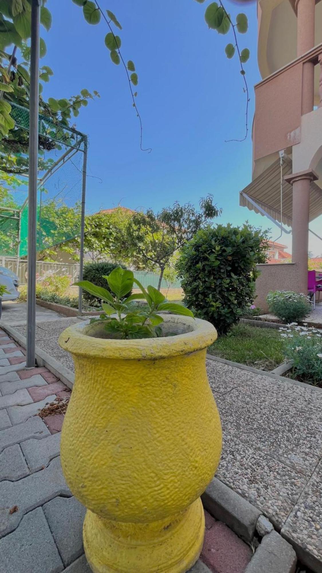 Apartments Villa Rotim Ζαντάρ Εξωτερικό φωτογραφία