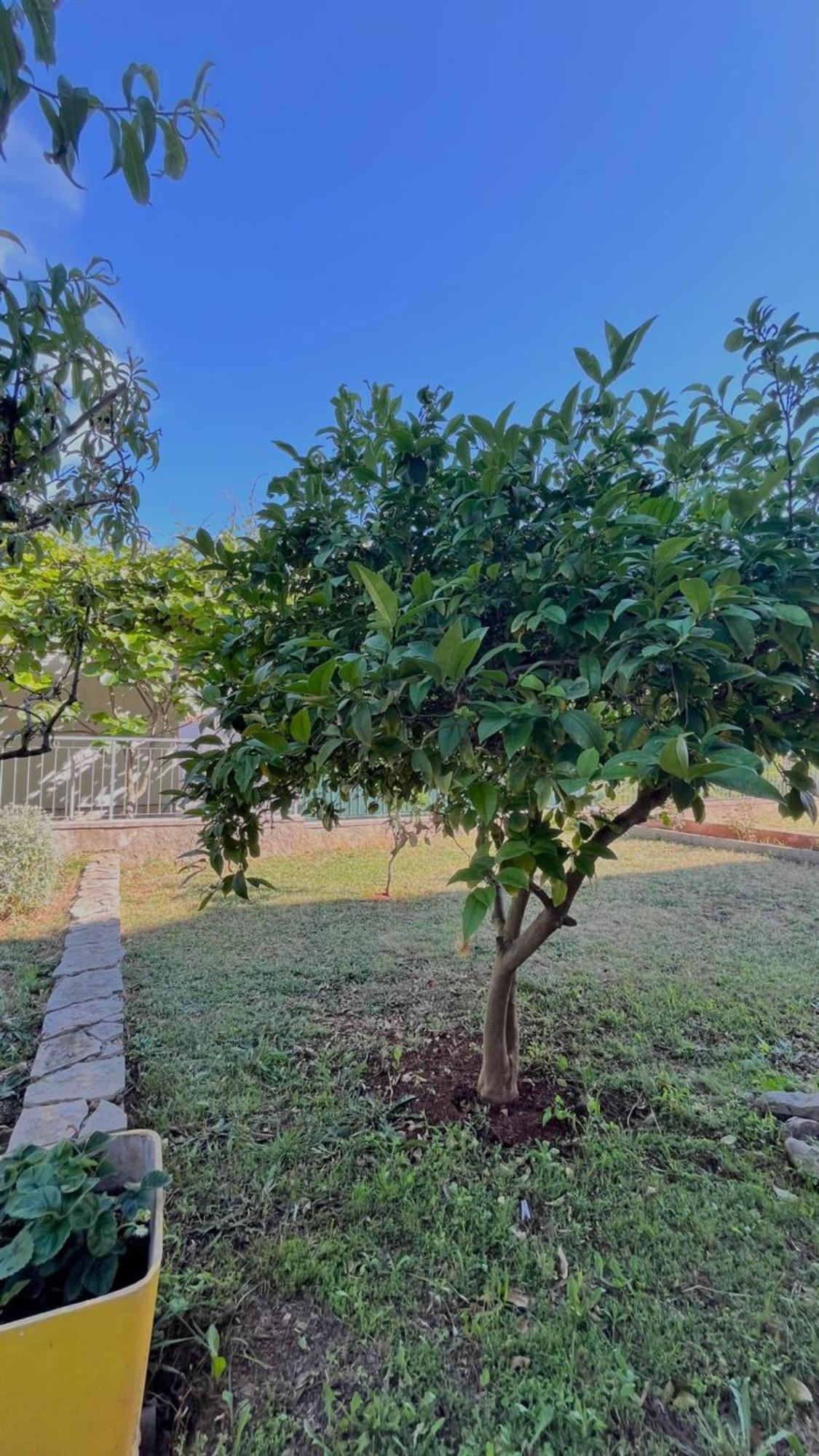 Apartments Villa Rotim Ζαντάρ Εξωτερικό φωτογραφία